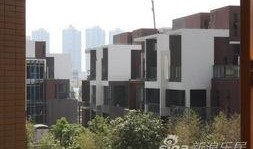 海伦堡爆料最新消息今天,揭秘今日热点事件内幕