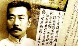 鲁迅最新爆料事件视频,揭秘历史真相，视频内容引发热议