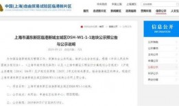 西岛最新官方爆料,最新爆料揭示神秘面纱下的真实世界