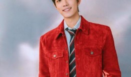 肖战和王嘉尔最新爆料,揭秘娱乐圈背后的故事