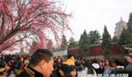 西安大雁塔人潮最新爆料,最新现场爆料揭秘